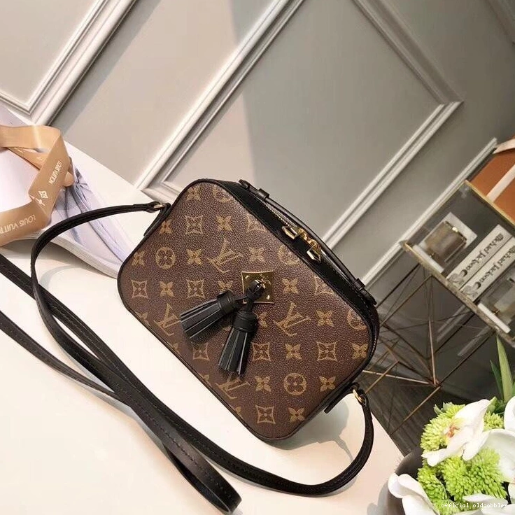 Official oldcobbler LOUIS VUITTON SAINTONGE 0814